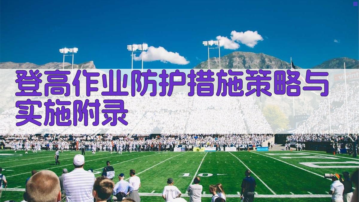 登高作业防护措施策略与实施 · 附录 图4