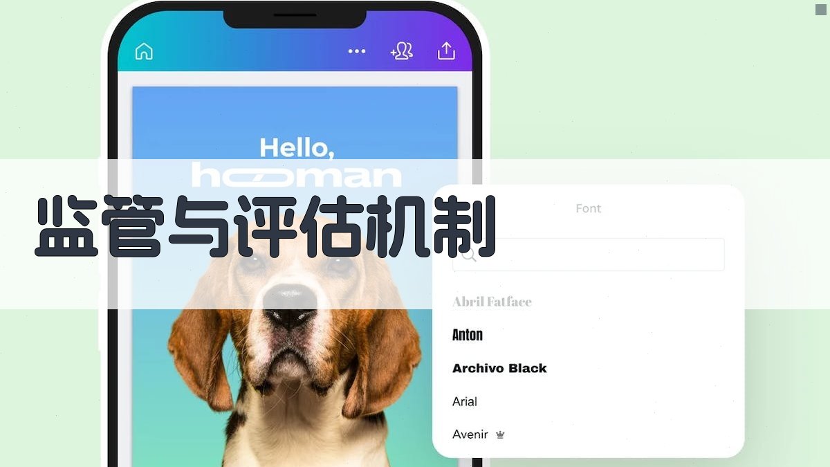 监管与评估机制 图4