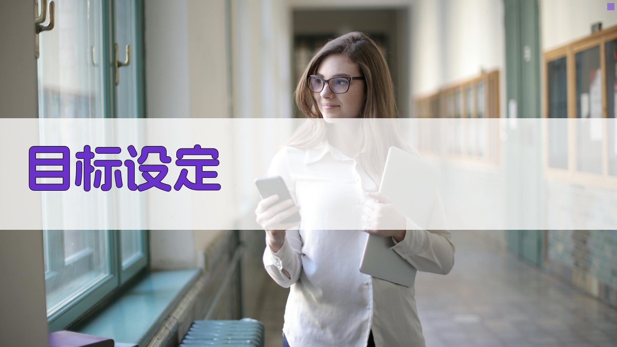 目标设定 图1