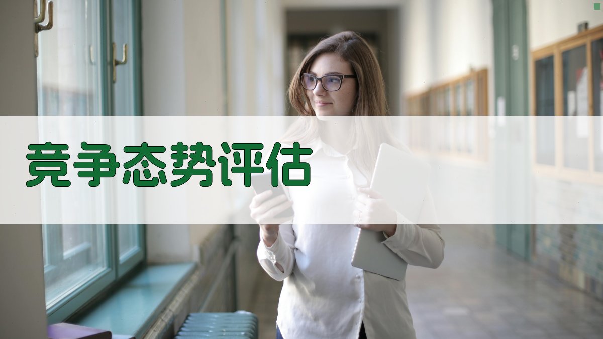 竞争态势评估 图3