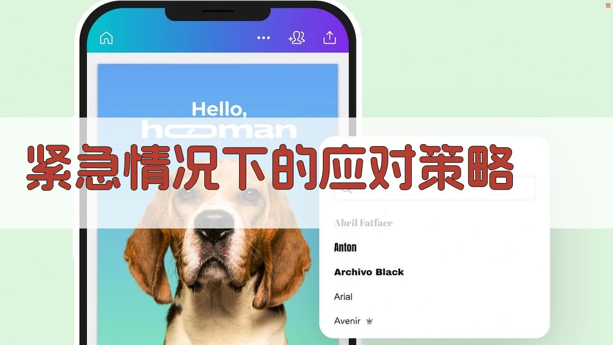 紧急情况下的应对策略 图4