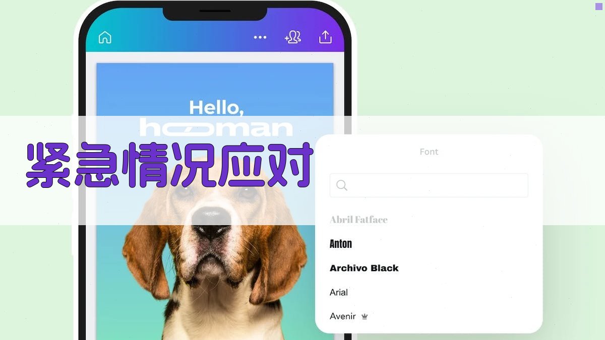 紧急情况应对 图3