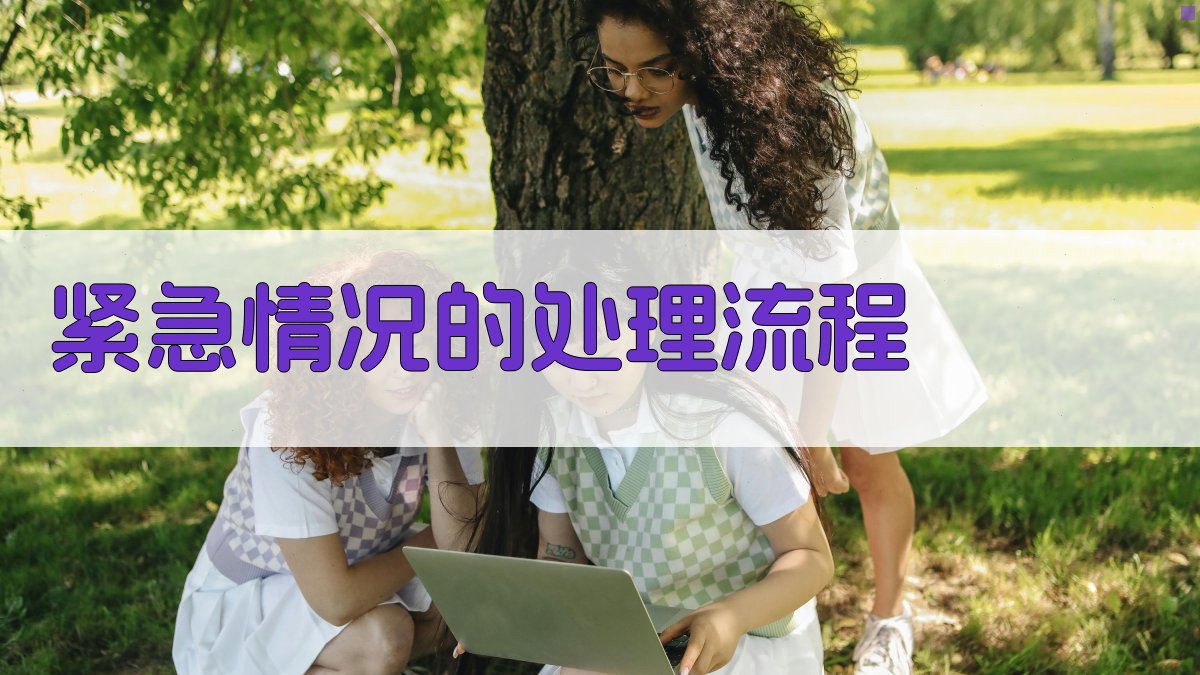 紧急情况的处理流程 图2