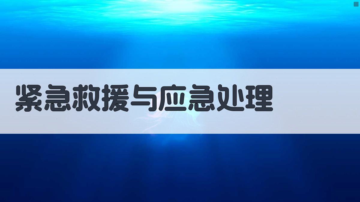 紧急救援与应急处理 图2