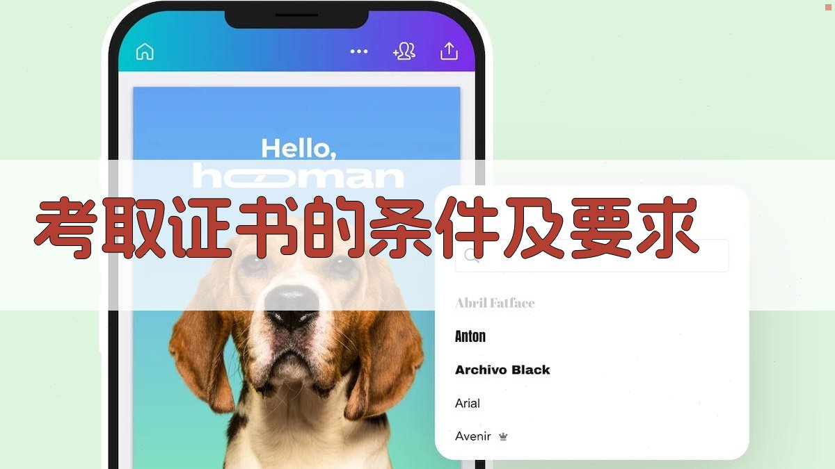 考取证书的条件及要求 图3