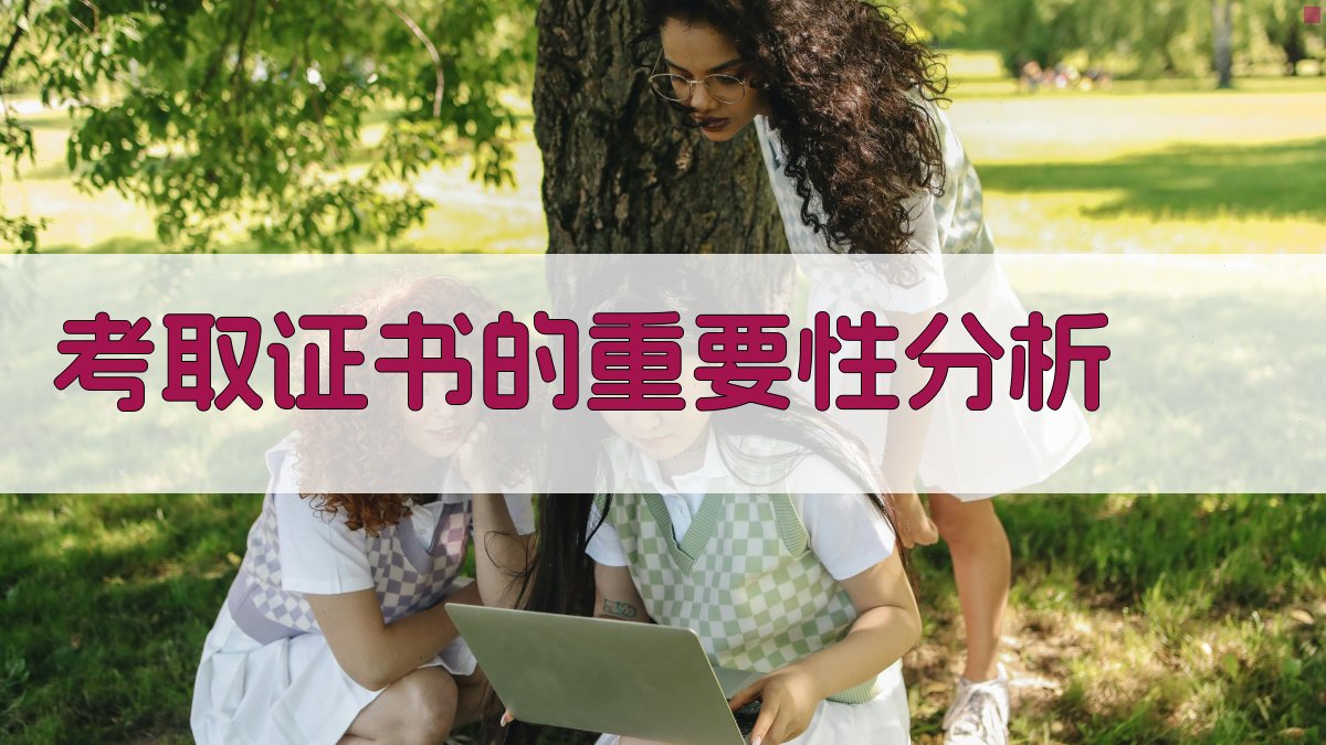 考取证书的重要性分析 图3