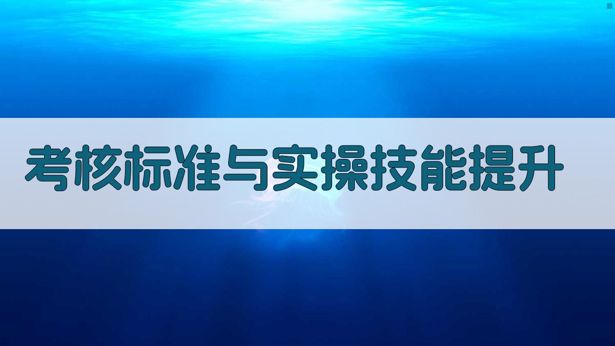 考核标准与实操技能提升 图2