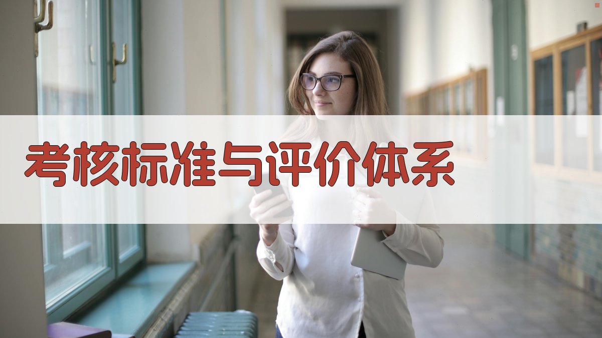 考核标准与评价体系 图3