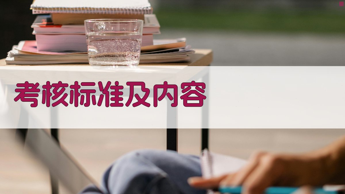 考核标准及内容 图3