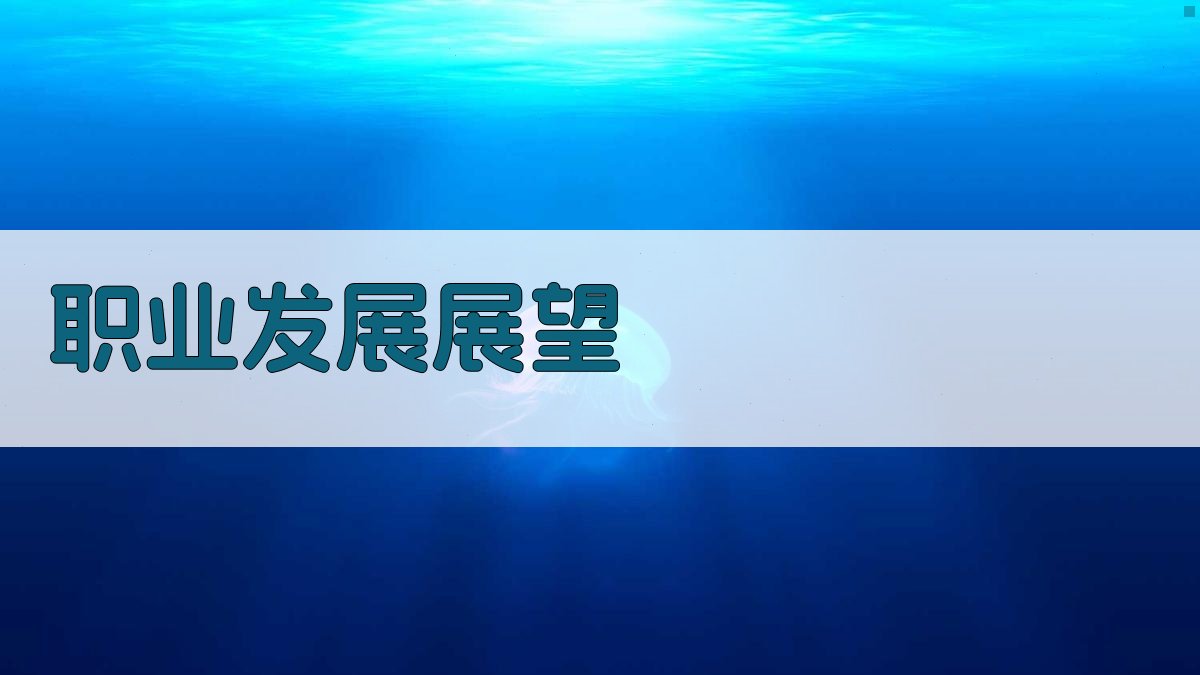 职业发展展望 图4