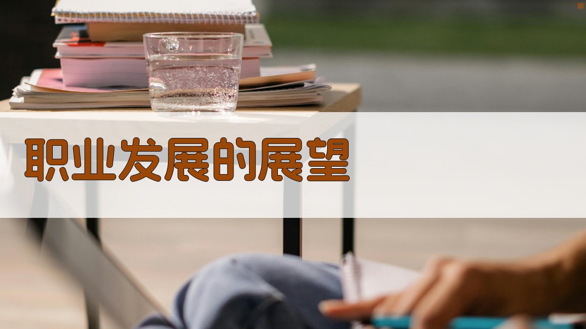职业发展的展望 图2