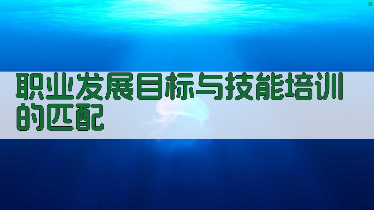 职业发展目标与技能培训的匹配 图2
