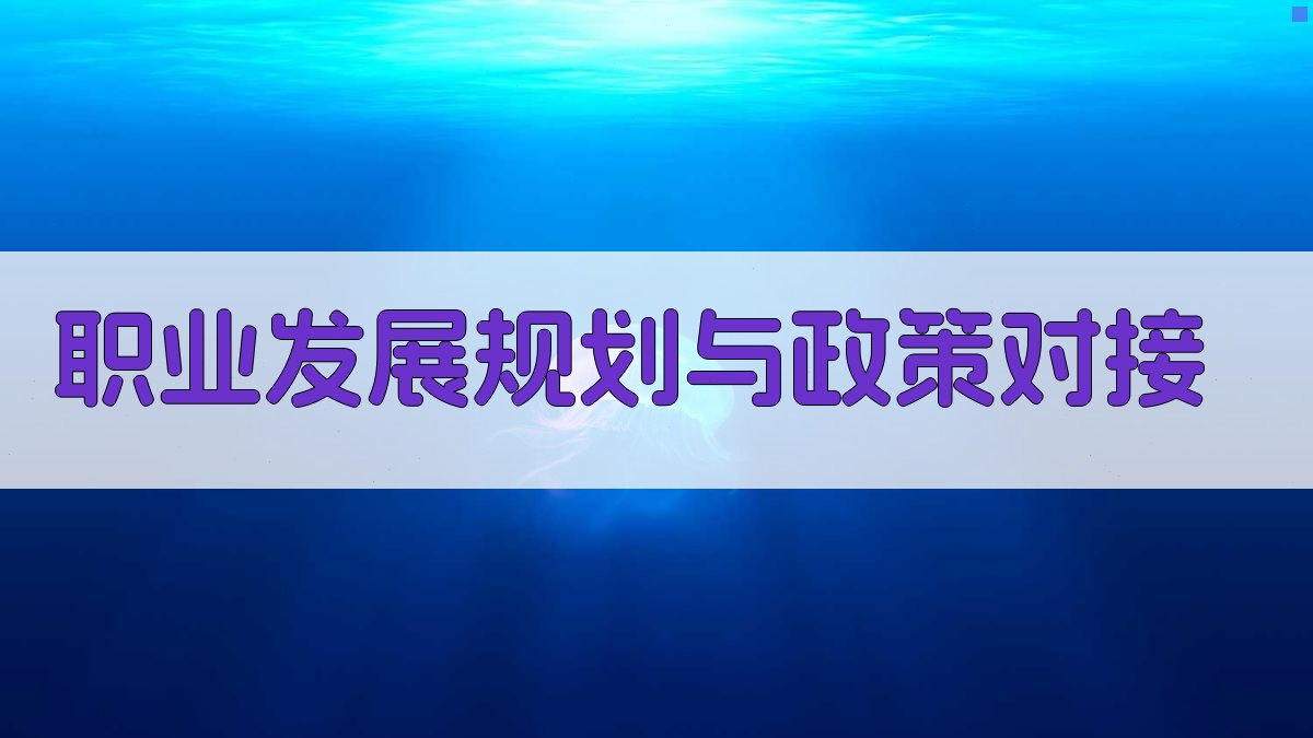 就业培训政策深度剖析构建职业发展新路径