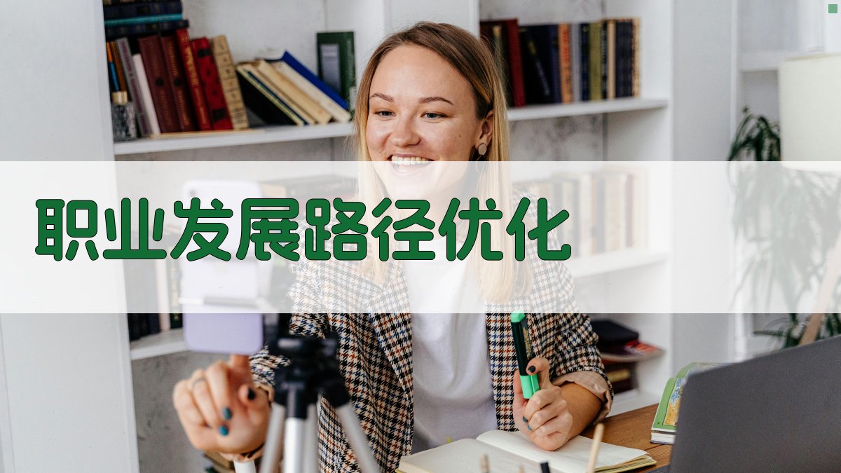 职业发展路径优化 图3