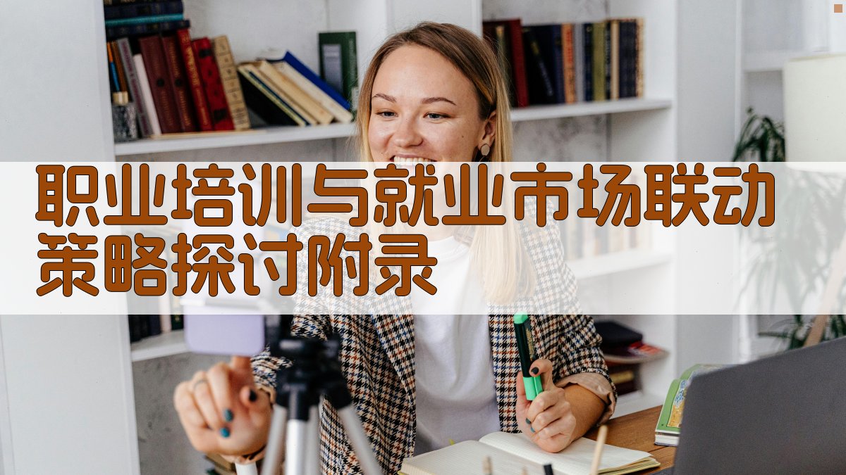 职业培训与就业市场联动策略探讨 · 附录 图5