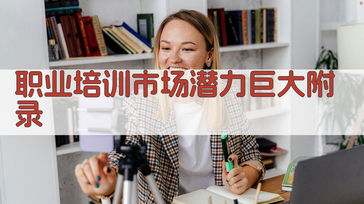 职业培训市场潜力巨大 · 附录 图4