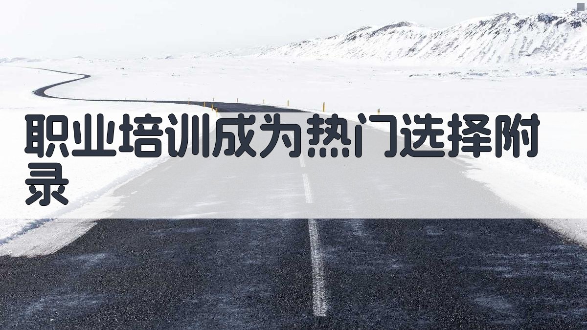 职业培训成为热门选择 · 附录 图5