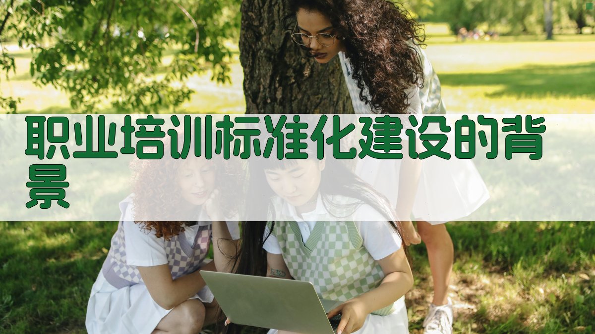 职业培训标准化建设加速动态