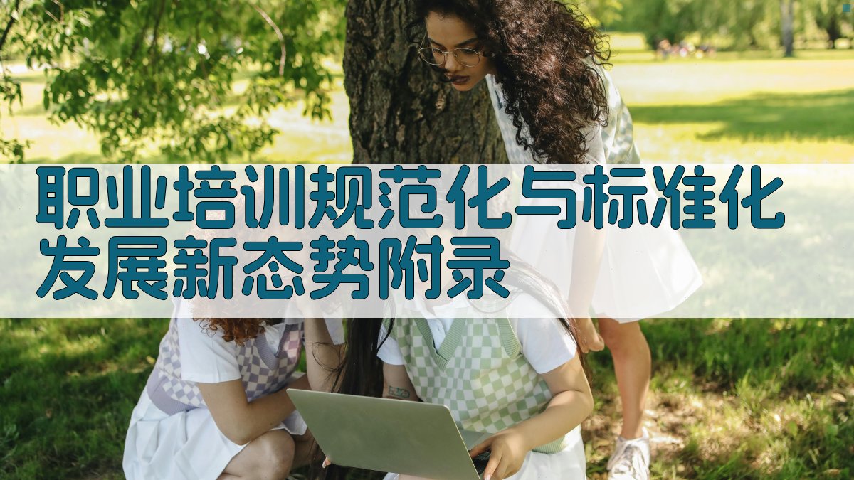 职业培训规范化与标准化发展新态势 · 附录 图2