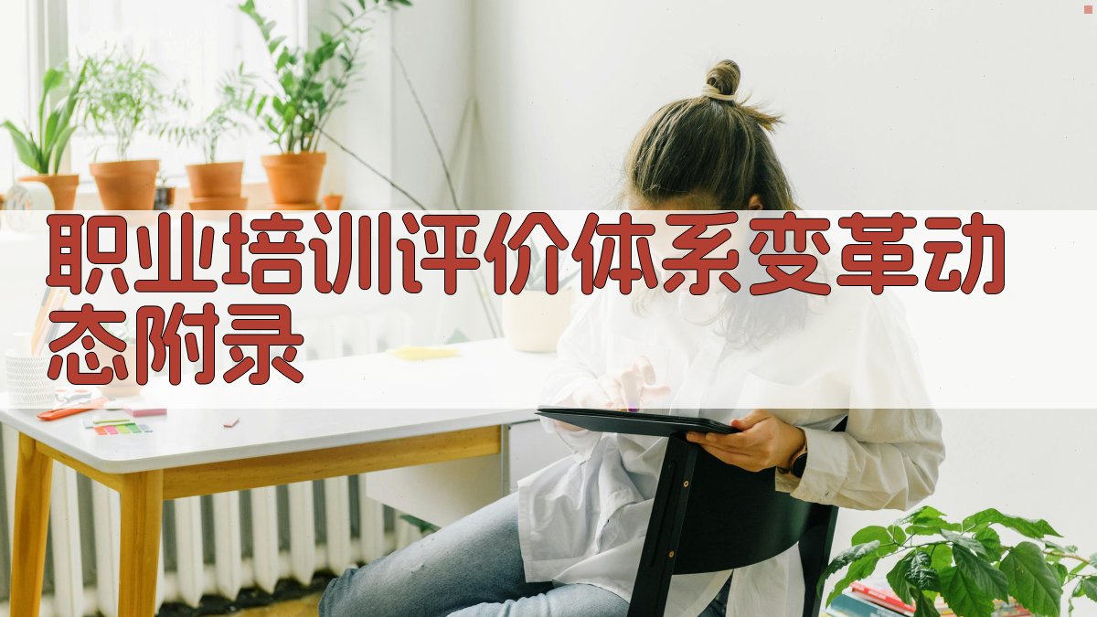 职业培训评价体系变革动态 · 附录 图2