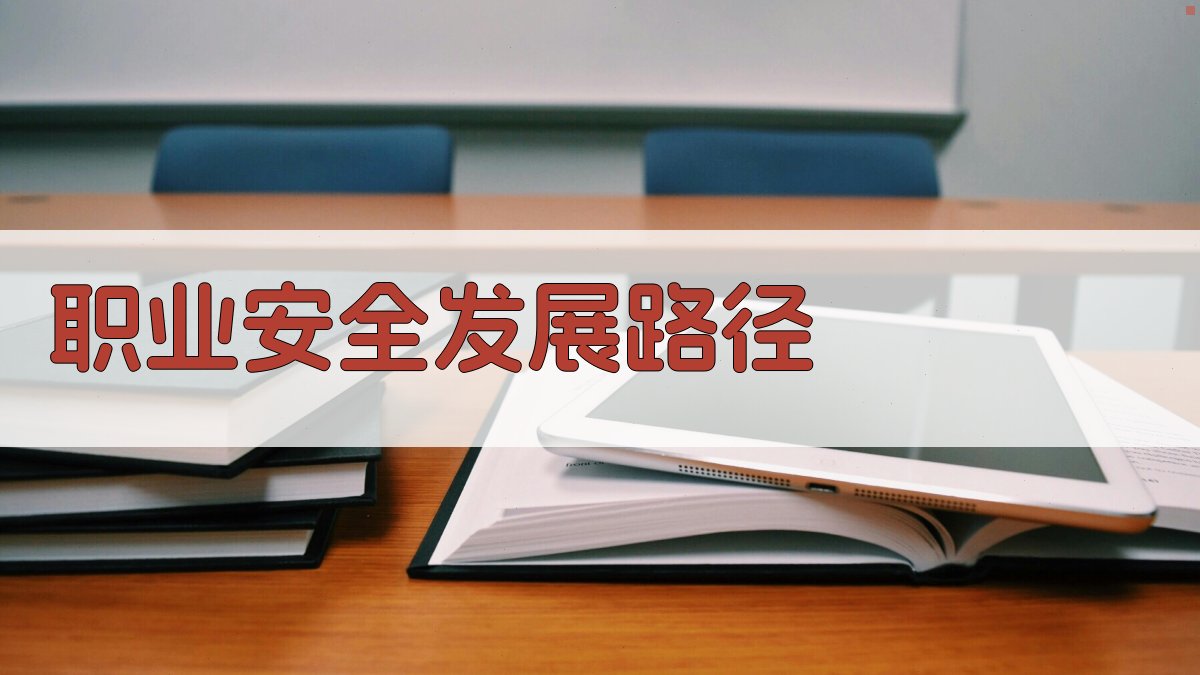 职业安全发展路径 图4
