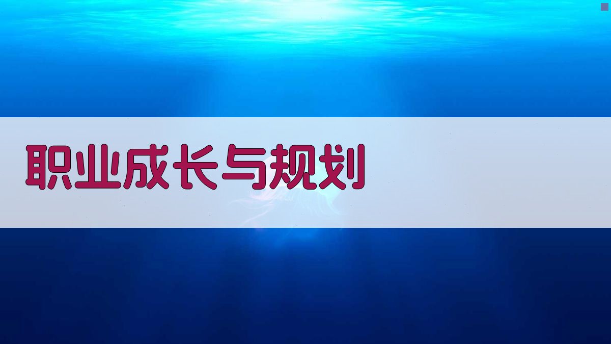 职业成长与规划 图2