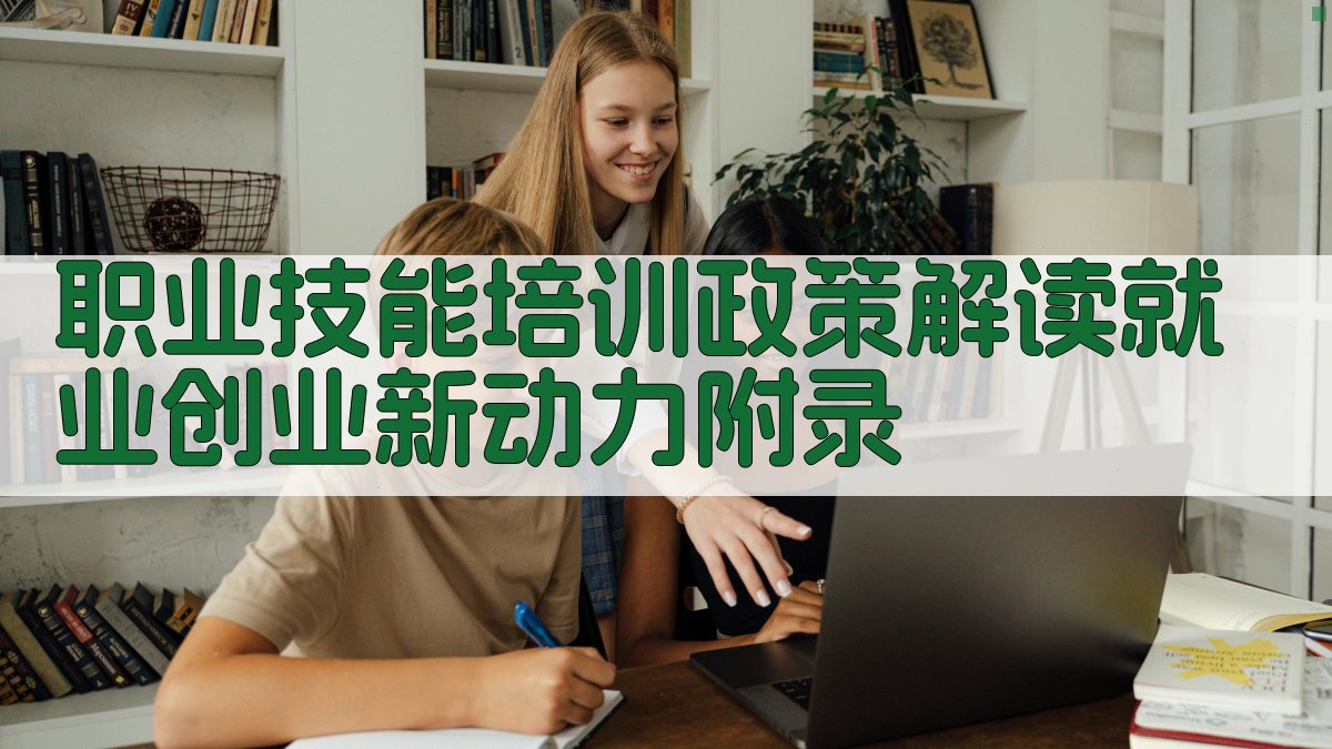 职业技能培训政策解读就业创业新动力 · 附录 图3