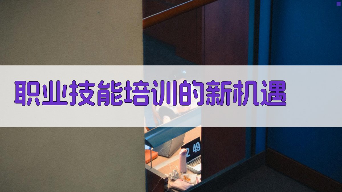 职业技能培训的新机遇 图3