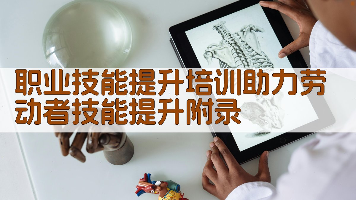 职业技能提升培训助力劳动者技能提升 · 附录 图4