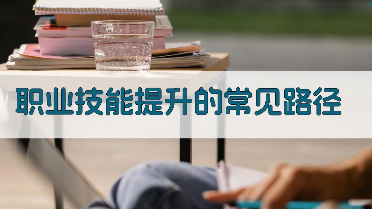 职业技能提升的常见路径 图2
