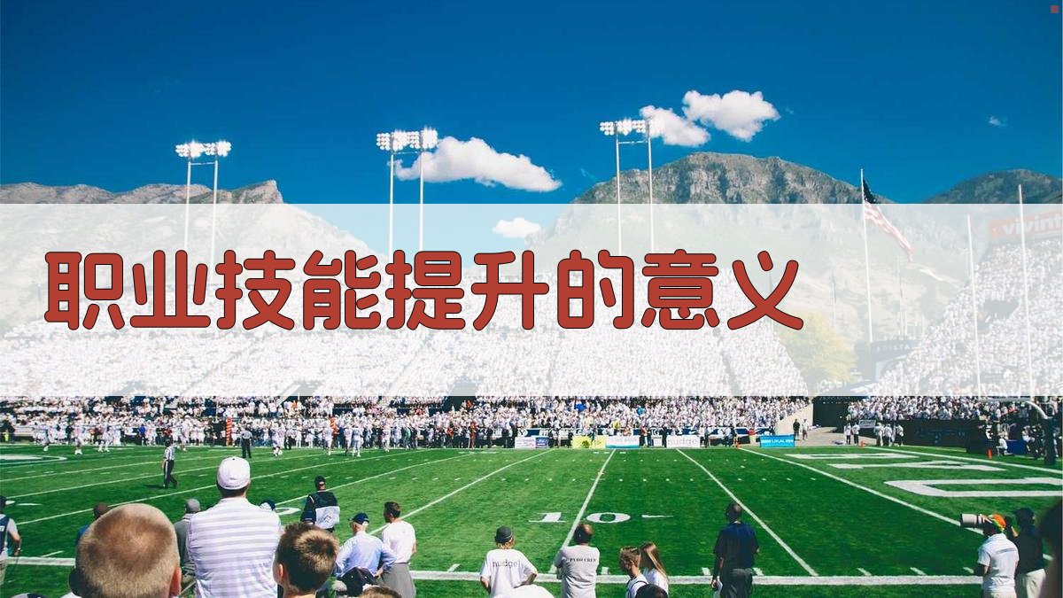 职业发展新路径政策支持下的技能提升策略