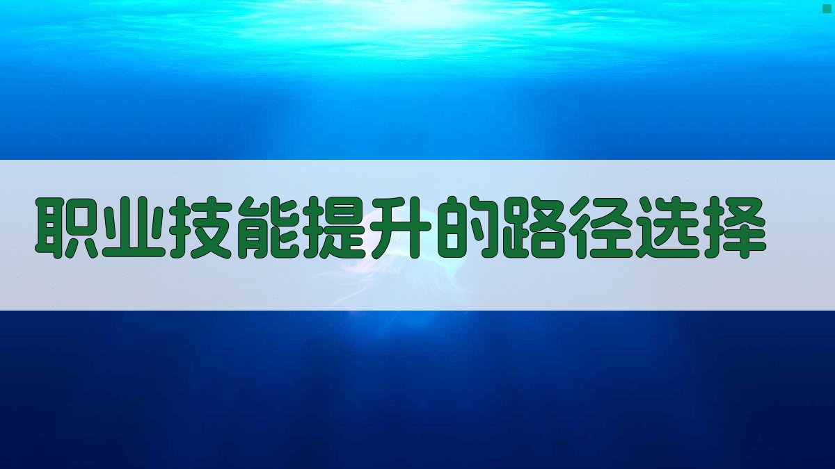职业技能提升的路径选择 图3