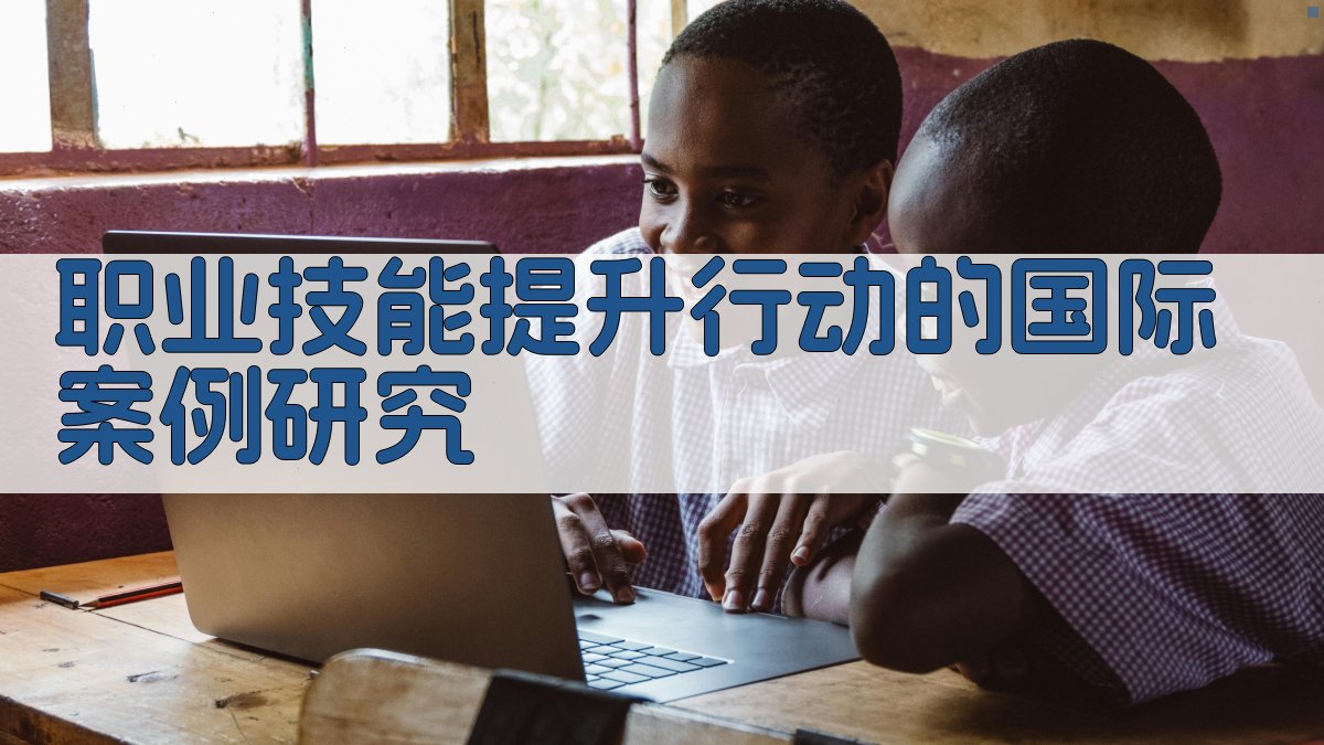 职业技能提升行动的国际案例研究 图2