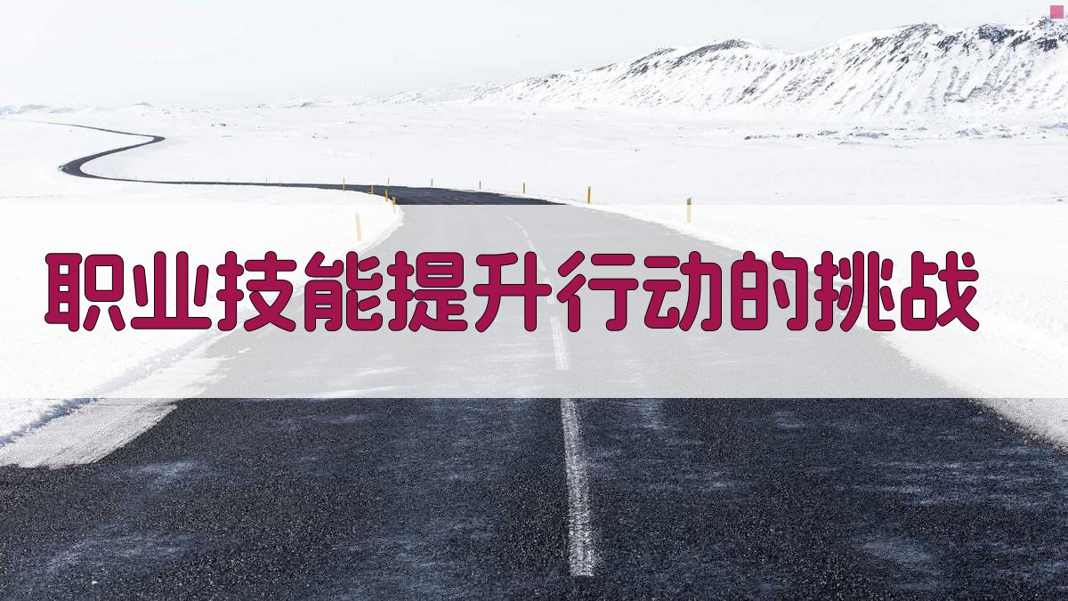 职业技能提升行动构建技能人才队伍新格局