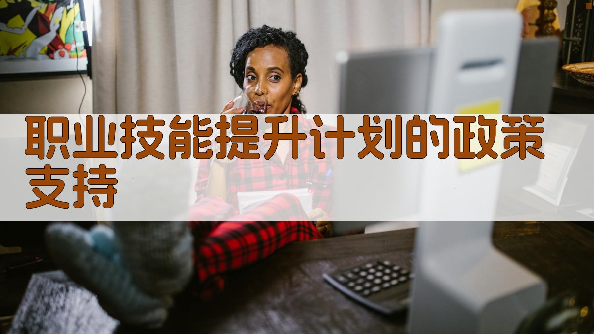 职业技能提升计划的政策支持 图3