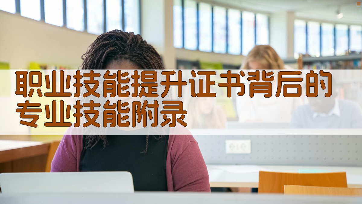 职业技能提升证书背后的专业技能 · 附录 图4