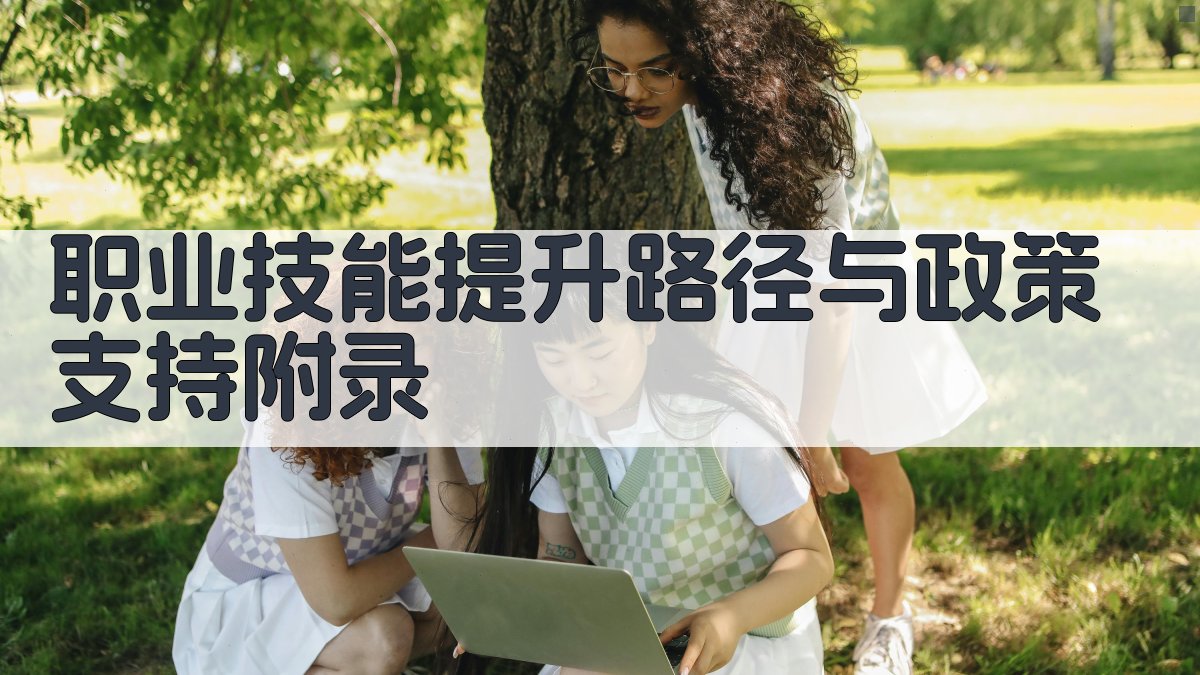 职业技能提升路径与政策支持 · 附录 图4