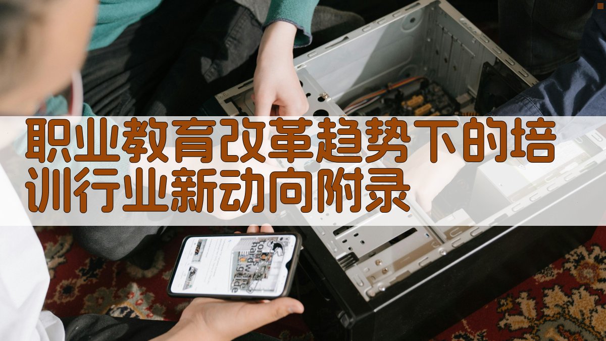 职业教育改革趋势下的培训行业新动向 · 附录 图3
