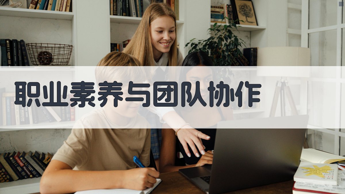 职业素养与团队协作 图5