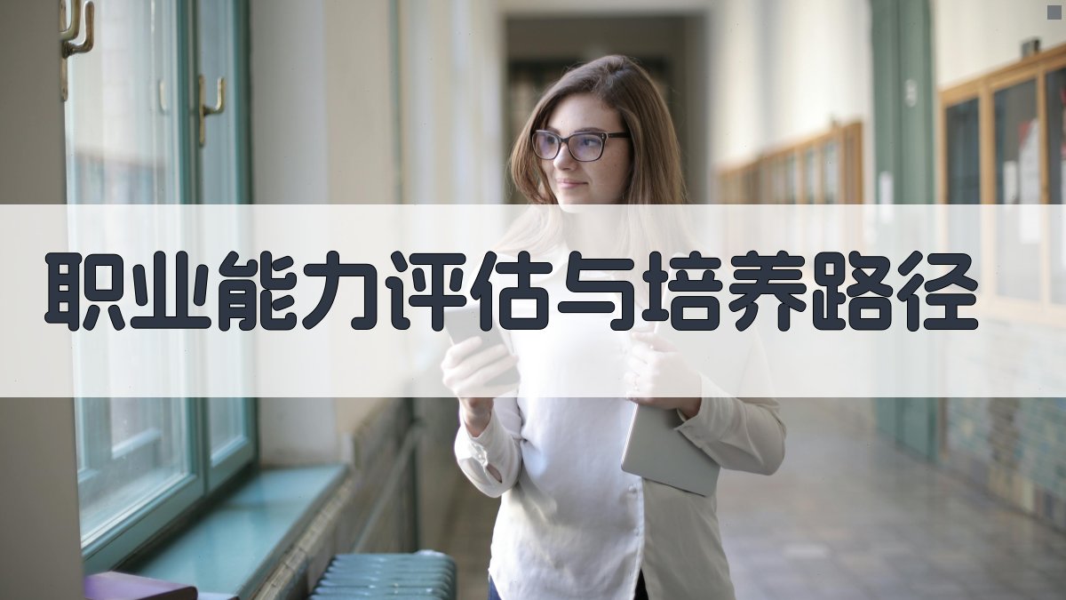 职业能力评估与培养路径 图3