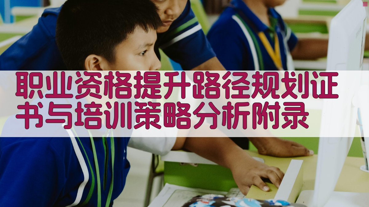 职业资格提升路径规划证书与培训策略分析 · 附录 图2