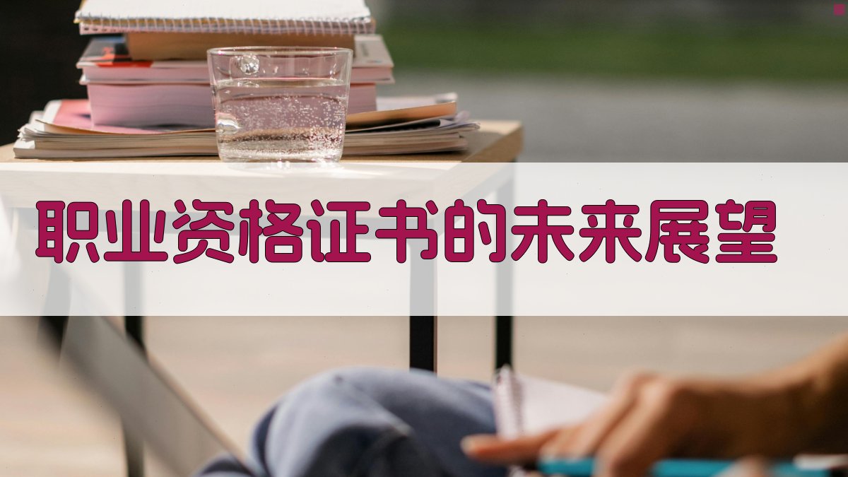职业资格证书的未来展望 图4