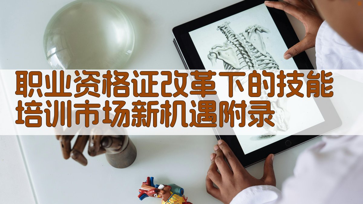 职业资格证改革下的技能培训市场新机遇 · 附录 图4