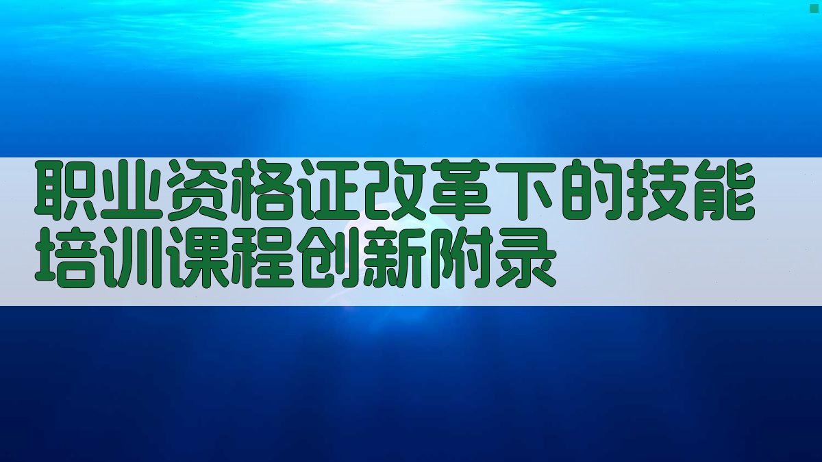 职业资格证改革下的技能培训课程创新 · 附录 图4