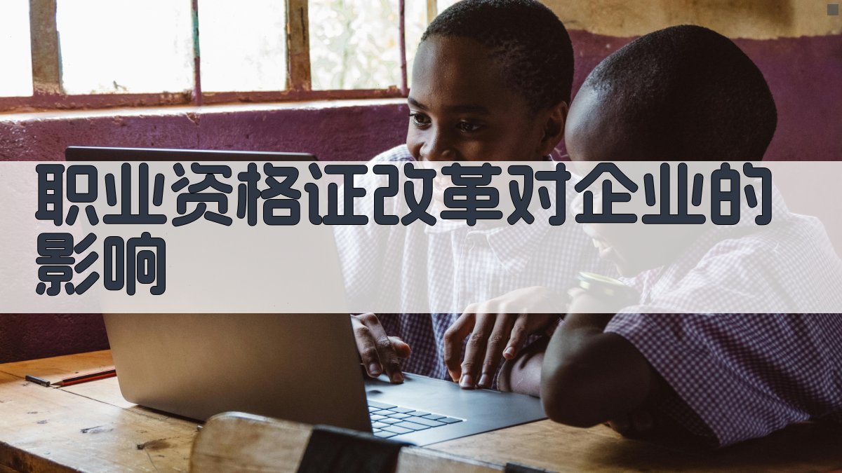职业资格证改革对企业的影响 图3