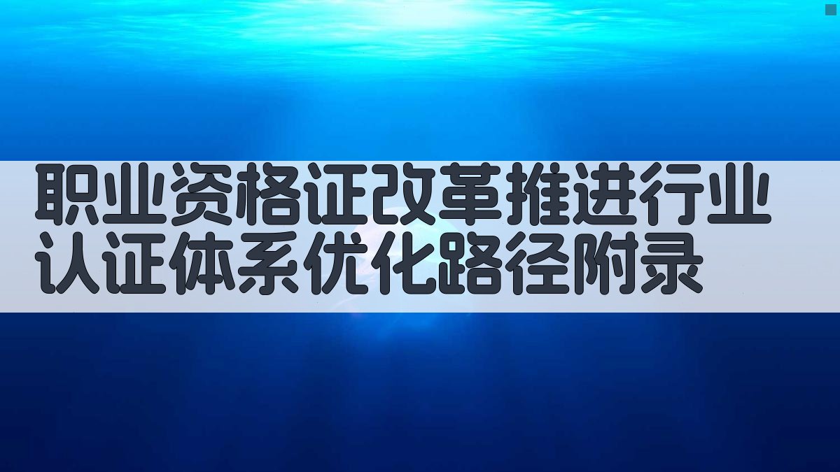 职业资格证改革推进行业认证体系优化路径 · 附录 图5