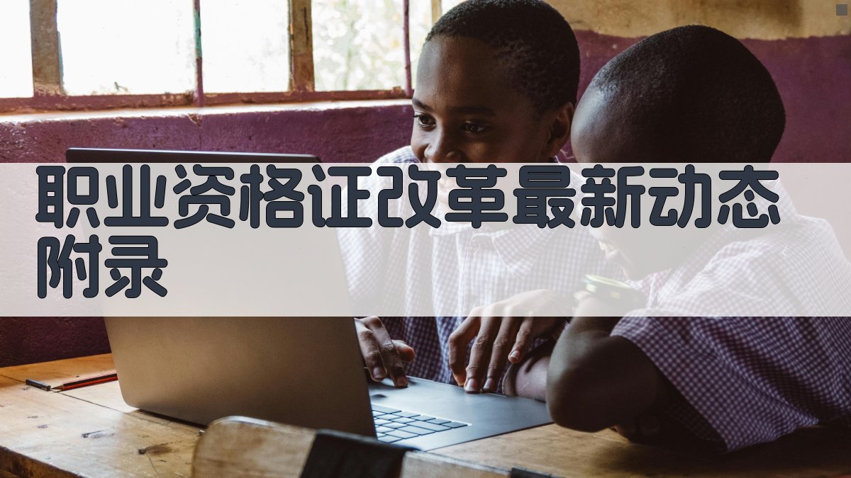 职业资格证改革最新动态 · 附录 图4