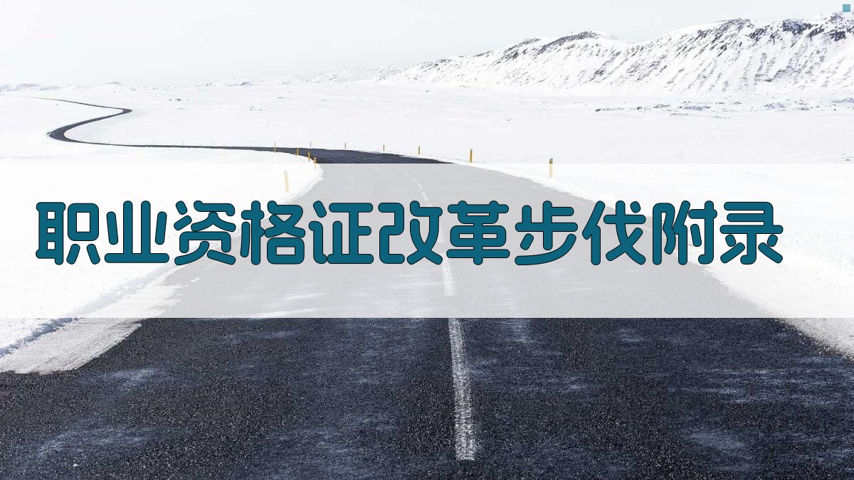 职业资格证改革步伐 · 附录 图2