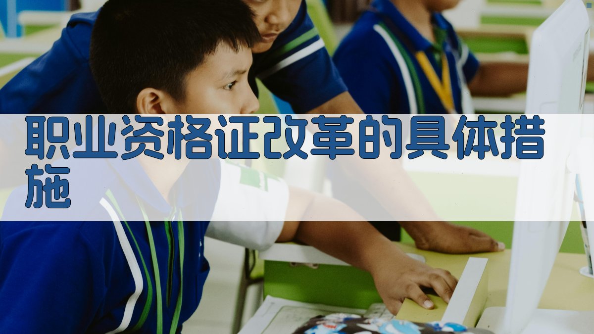 职业资格证改革的具体措施 图2
