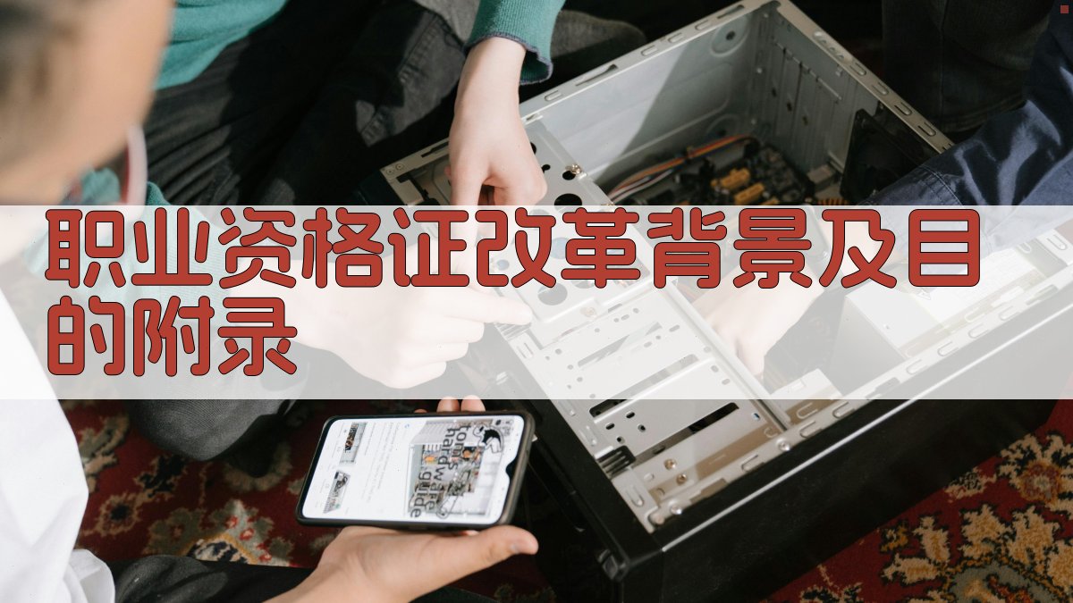 职业资格证改革背景及目的 · 附录 图3